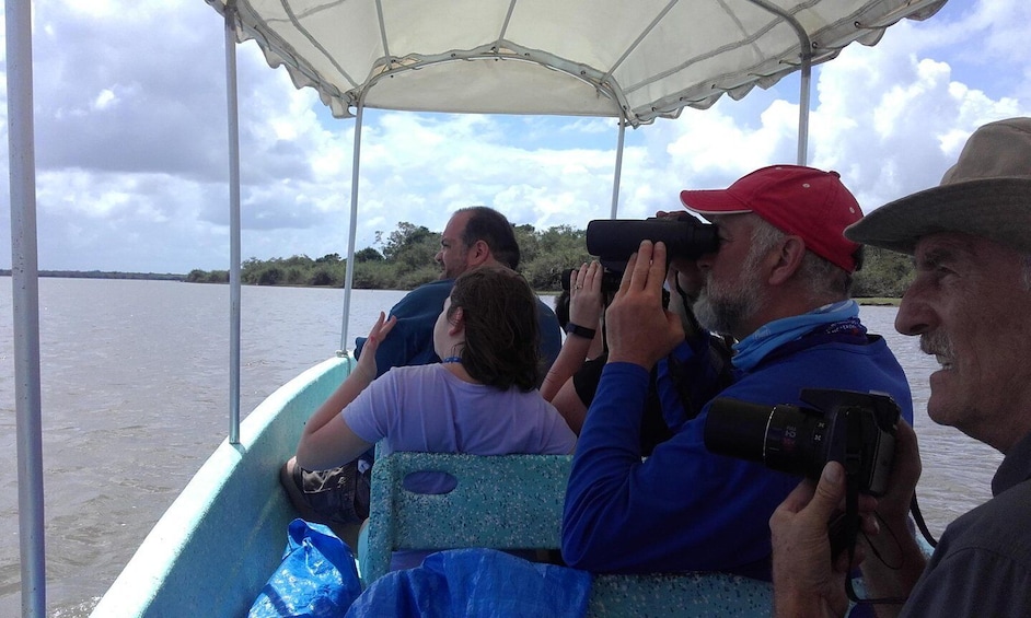 Picture 6 for Activity Wings of Belize: Crooked Tree Wildlife Adventure 3