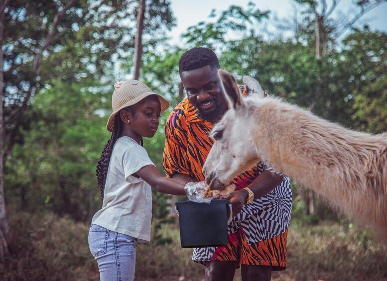 Picture 5 for Activity Accra: 5-Day Ghana Tour with ATVs, Waterfalls, & Safari 4