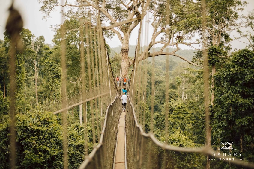 Accra: 5-Day Ghana Tour with ATVs, Waterfalls, & Safari 1