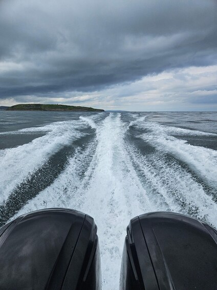 A boat's wake in the ocean with a cloudy sky. 4