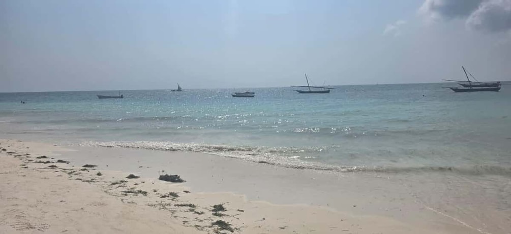 Picture 15 for Activity Zanzibar: Mnemba Island Snorkeling & Dolphin Watching Tour 3