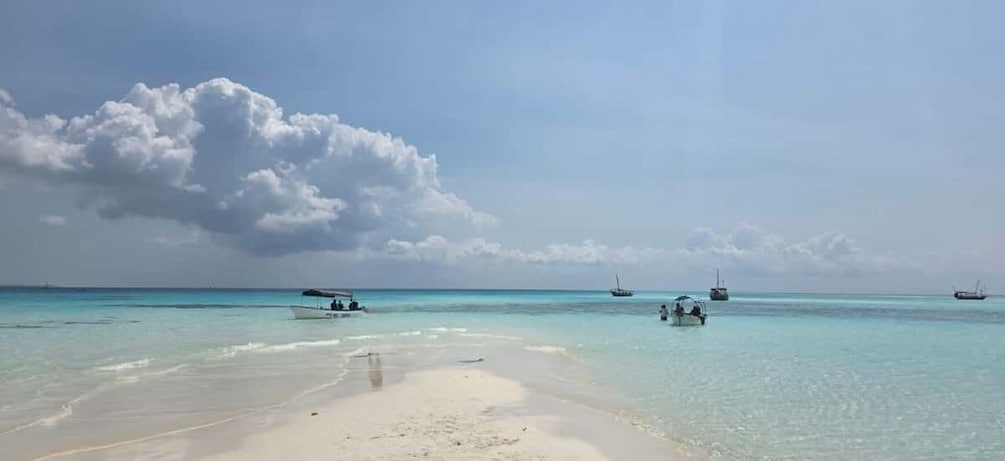Picture 14 for Activity Zanzibar: Mnemba Island Snorkeling & Dolphin Watching Tour 5