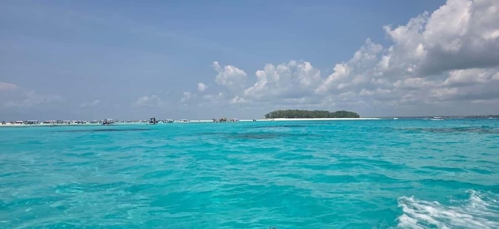 Picture 2 for Activity Zanzibar: Mnemba Island Snorkeling & Dolphin Watching Tour 2