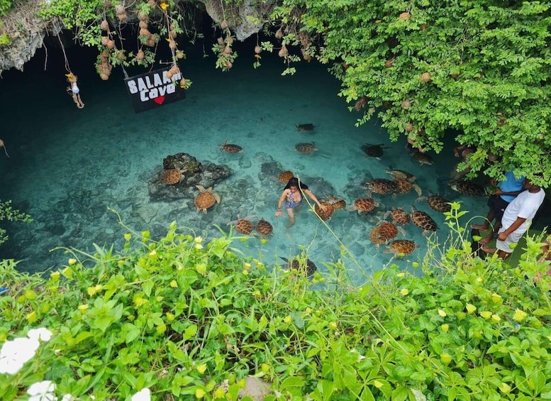 Zanzibar: Jozani Forest & Salaam Cave Swimming with Turtles 1