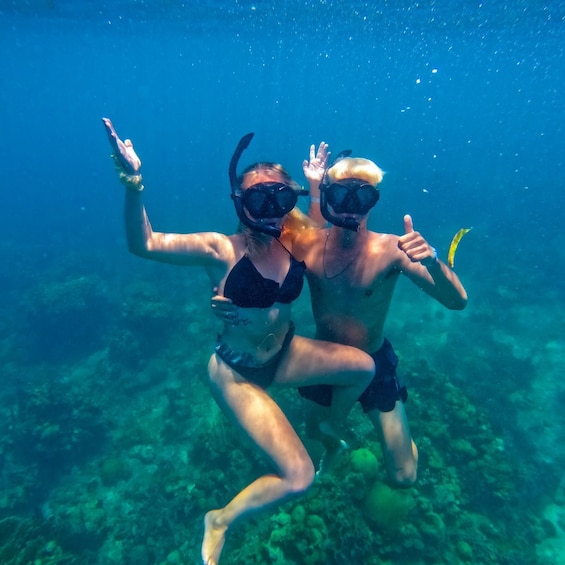 Two people snorkeling underwater, surrounded by marine life and coral reefs. 1