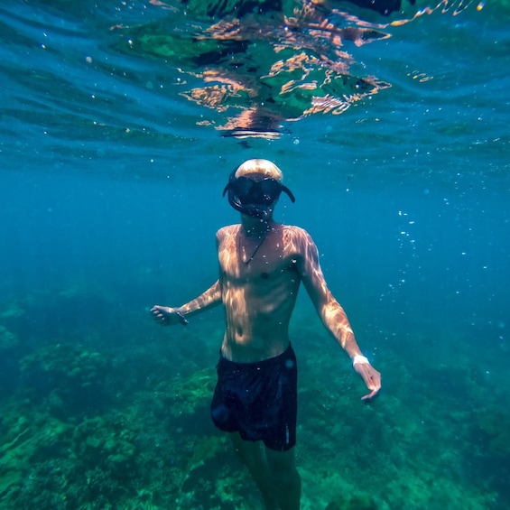 A person snorkeling underwater. 5
