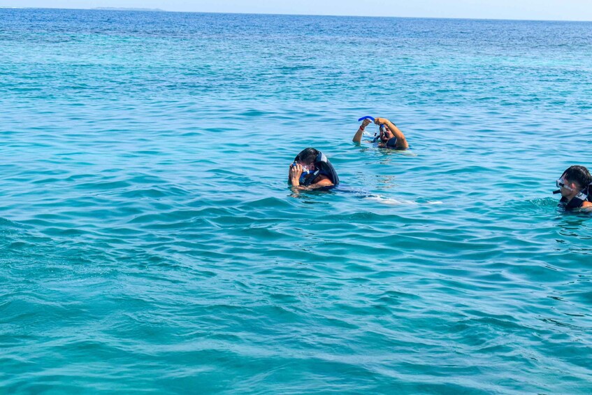 Three people swimming in the ocean. 2