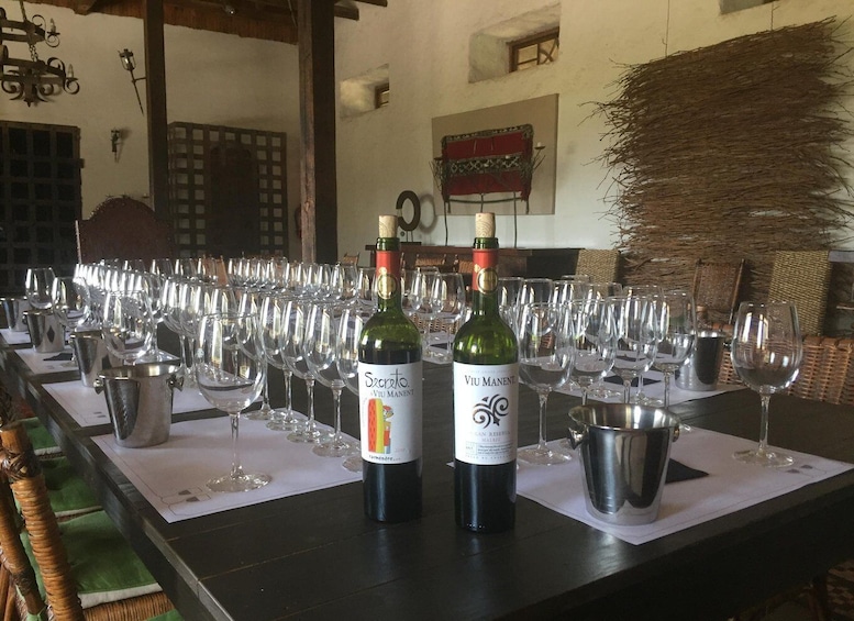 A wine tasting event with two bottles of Viu Manent wine on a table surrounded by empty wine glasses. 1