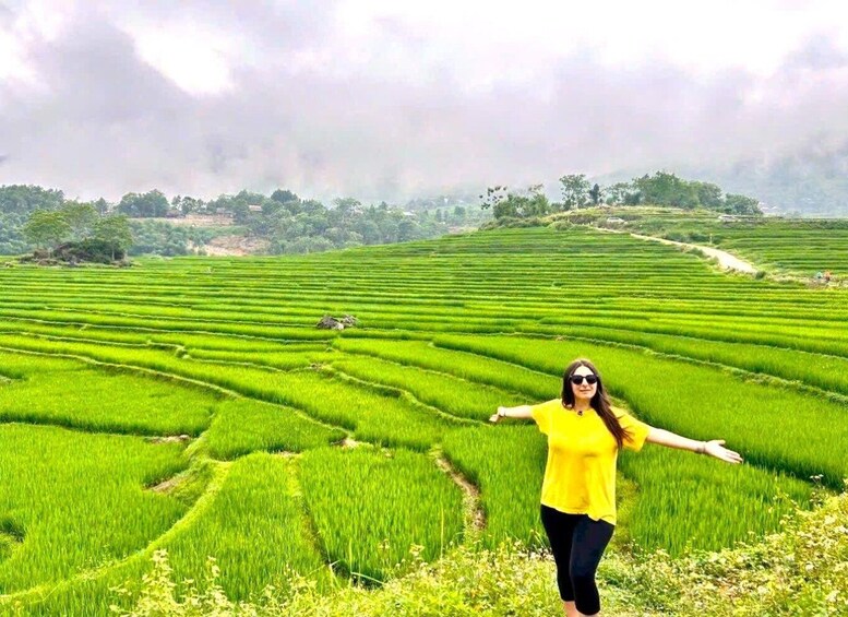 A person standing in a rice paddy field with rows of green crops. 1