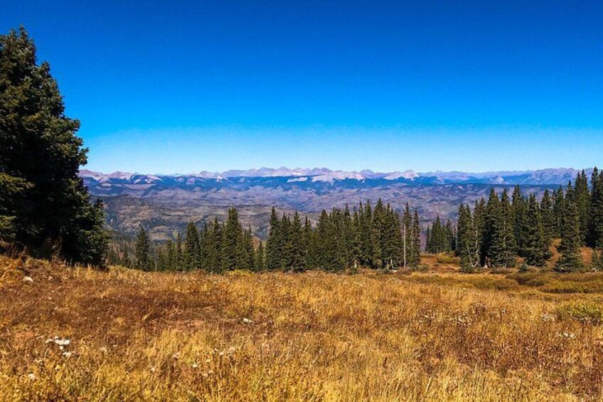 4 Hours Durango Colorado - Jeep Tour 3