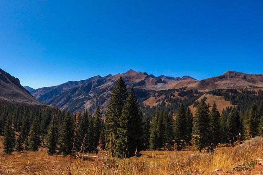 4 Hours Durango Colorado - Jeep Tour 4
