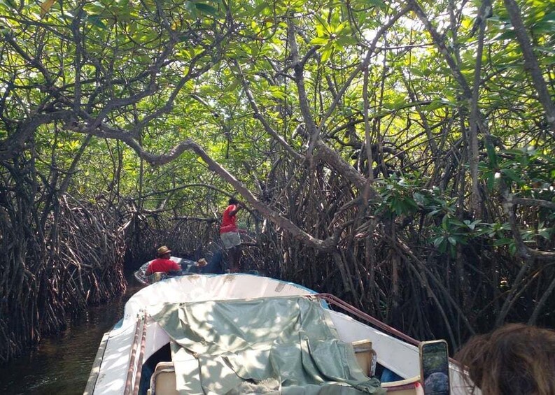 A boat navigating through mangrove channels with people on board. 2
