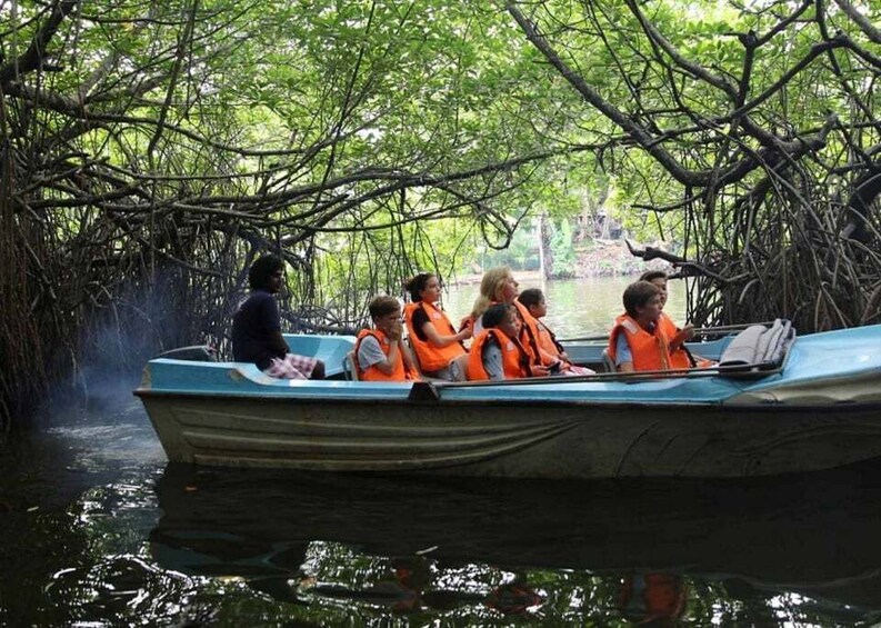 A boat with people wearing life jackets on a mangrove-filled waterway. 3