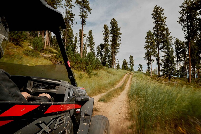 A vehicle on a dirt road surrounded by tall trees. 2