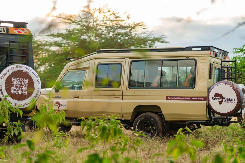 Picture 3 for Activity Arusha: 3-Day Safari 3