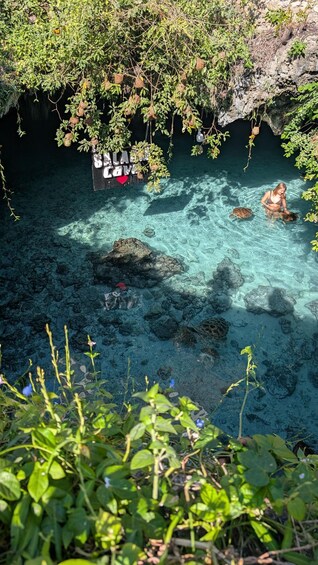 Picture 10 for Activity SWIMMING WITH TURTLES AT SALAAM CAVE IN KIZIMKAZI+ ENTRY FEE 2