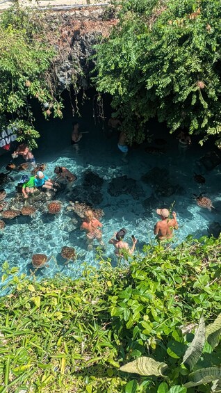 Picture 8 for Activity SWIMMING WITH TURTLES AT SALAAM CAVE IN KIZIMKAZI+ ENTRY FEE 5