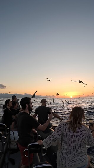 A group of people on a boat at sunset with birds flying over the water. 1