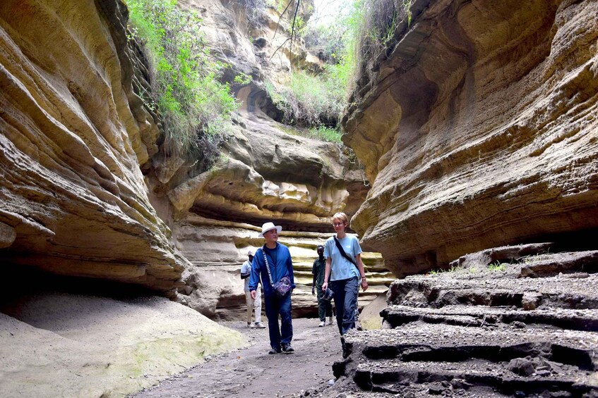 A canyon with layered rock formations and a narrow path. 3