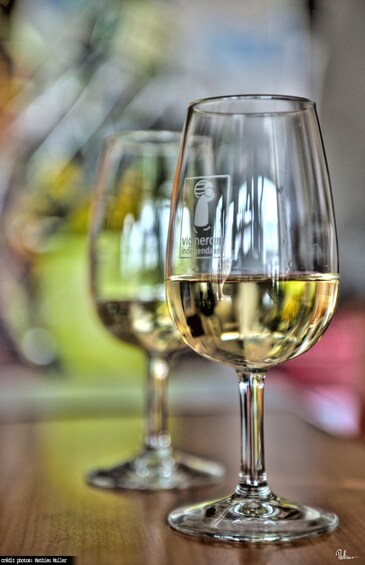 Picture 7 for Activity Kaysersberg Vineyard Discover the vineyard and wine, Domaine Meyer-Krumb 5