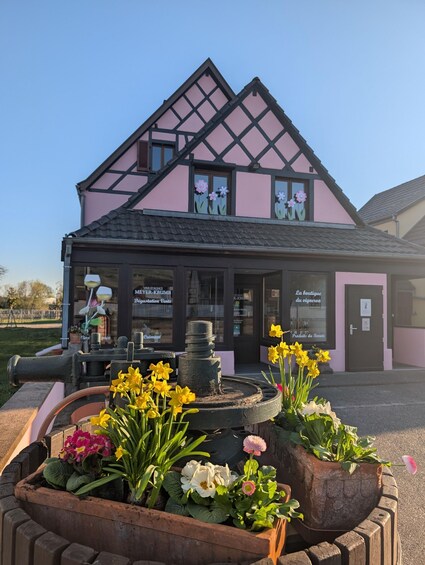 Picture 1 for Activity Kaysersberg Vineyard Discover the vineyard and wine, Domaine Meyer-Krumb 4