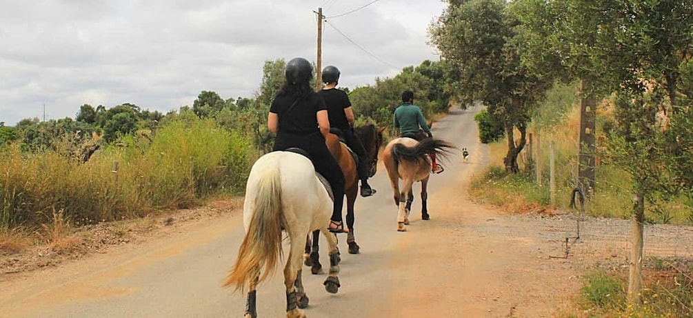Picture 1 for Activity Costa Alentejana: Horse tour in Serra de Grândola 1