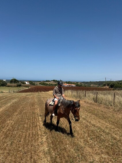 Picture 7 for Activity Costa Alentejana: Horse tour in Serra de Grândola 4