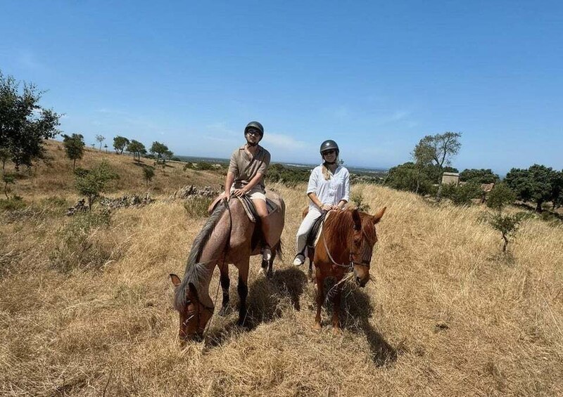 Costa Alentejana: Horse tour in Serra de Grândola 1