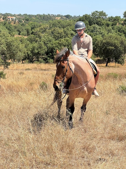Picture 12 for Activity Costa Alentejana: Horse tour in Serra de Grândola 2