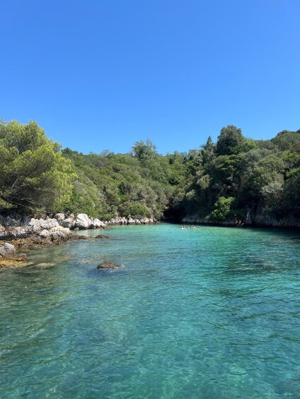 A clear turquoise sea with rocky shores and dense green foliage. 3