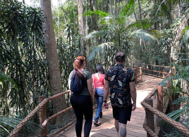 A wooden boardwalk through a dense tropical forest with visitors walking. 1