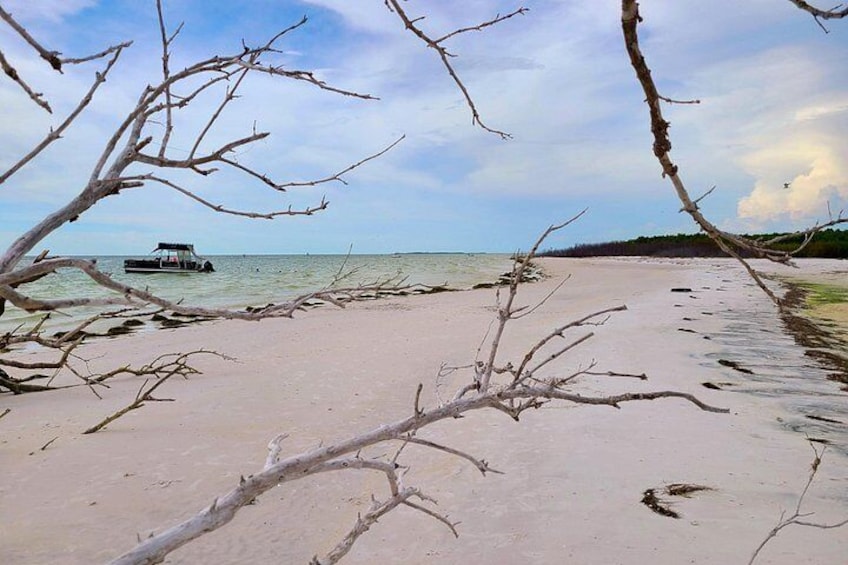 Enjoy secluded islands! 2