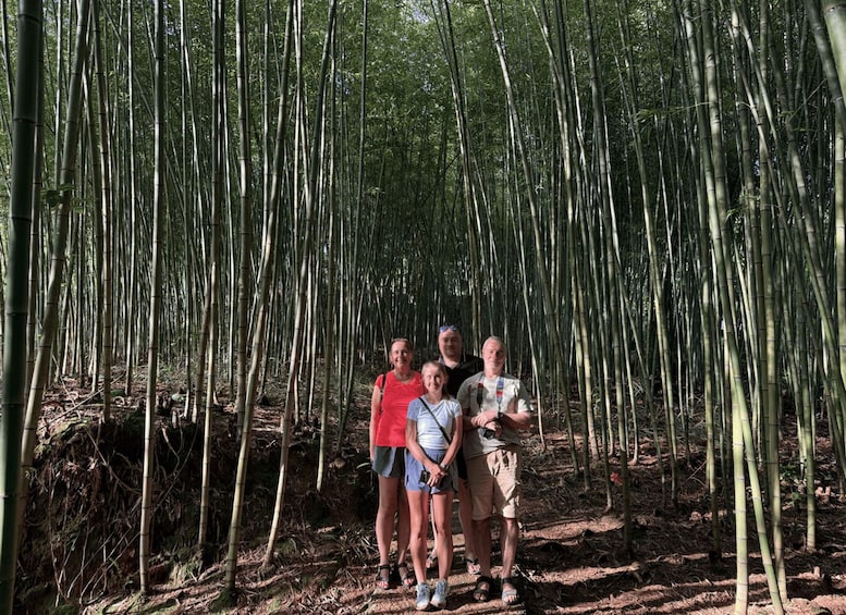 A group of people standing in a bamboo forest. 1
