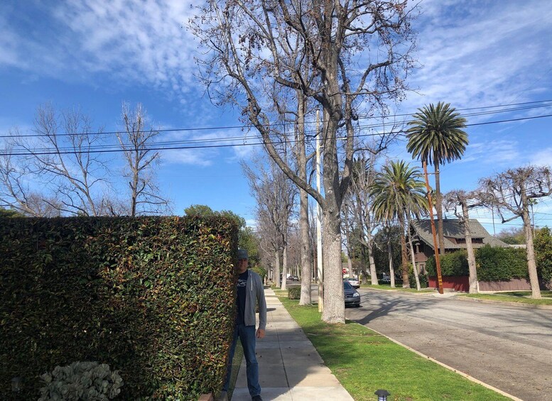Calle residencial bordeada de árboles y setos. 5