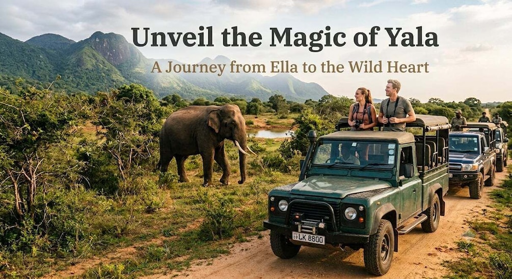 Ella to Yala Transfer with Yala National Park Safari 1