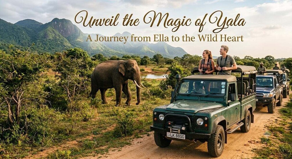 Picture 15 for Activity Ella to Yala Transfer with Yala National Park Safari 2