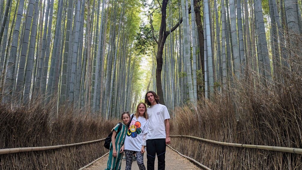 A pathway flanked by tall bamboo trees. 1
