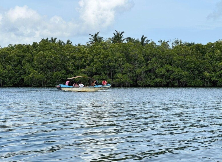 A small boat with people on a calm lake surrounded by dense green forest. 5
