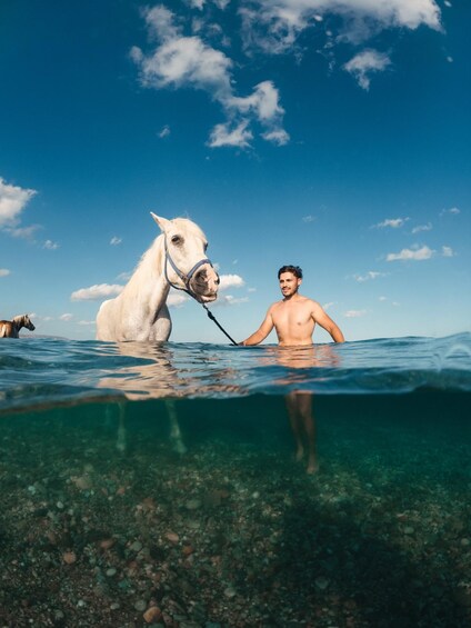 Barbados: Beach Horseback Ride with Swim & Picnic 1