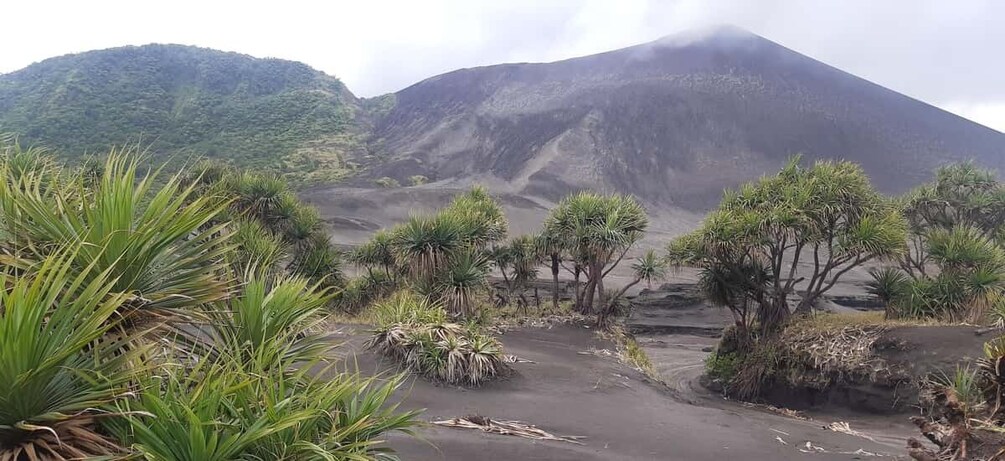 Picture 15 for Activity Tanna Island: Mt Yasur Volcano Afternoon Tour 5