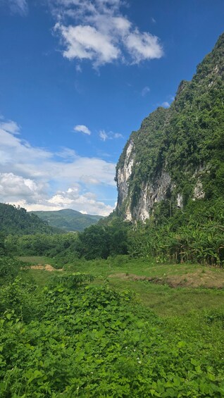 A lush green valley with dense vegetation and a steep cliff. 4