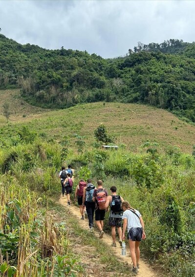 A group of hikers walking on a dirt trail through a grassy area with dense vegetation and hills in the background. 5