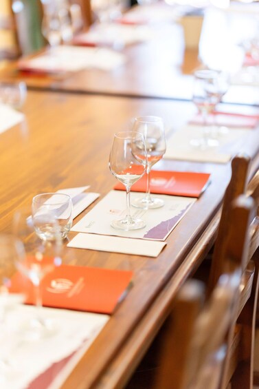 Picture 10 for Activity Uncorked Villamagna: Wine Tasting in Italy’s Smallest DOC 5