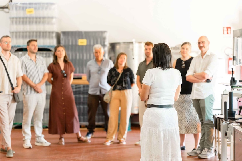 Uncorked Villamagna: Wine Tasting in Italy’s Smallest DOC 1