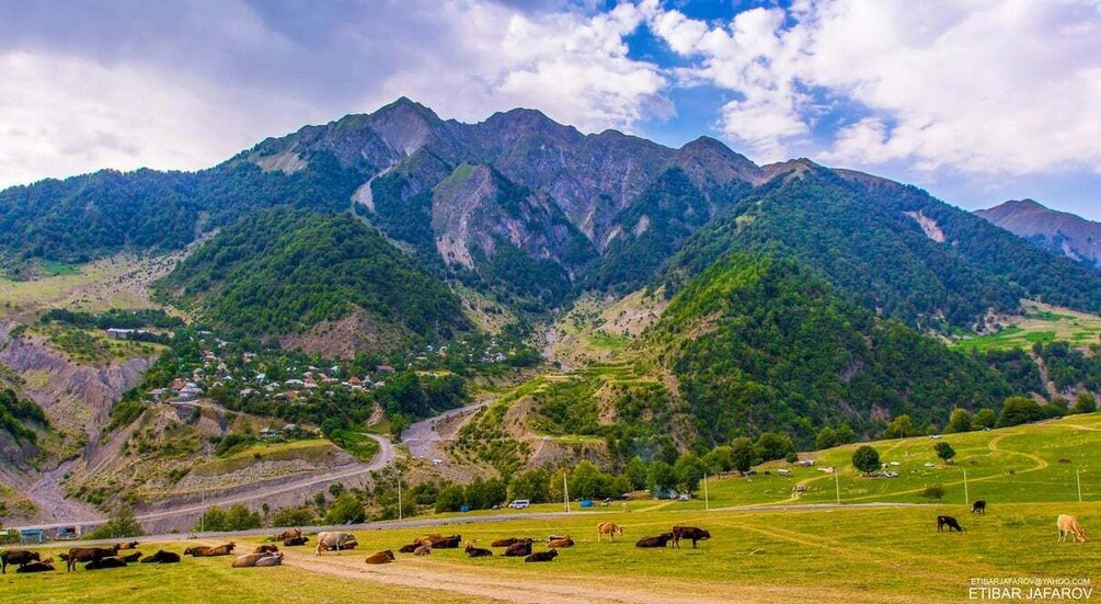 A mountainous landscape with grazing cattle, a winding road, and a small settlement. 2