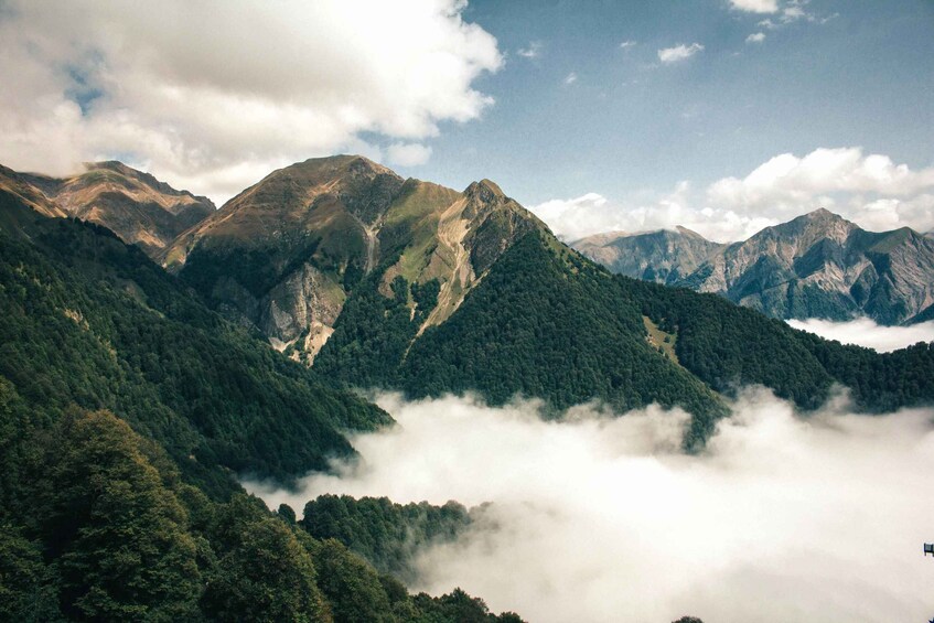 A mountain landscape with dense forests and mist-covered peaks. 4
