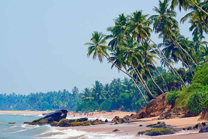 Picture 5 for Activity Kalutara: Private City Sightseeing Guided Tour by Tuk Tuk 5
