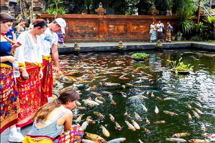 A pond with many fish, people observing, and traditional architecture in the background. 3