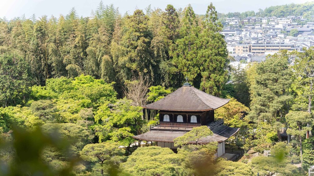 Picture 31 for Activity Kyoto: Hidden Gems E-Bike Tour with Local Japanese Guide 2