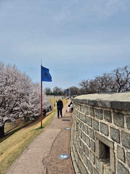 Picture 11 for Activity Seoul: Suwon Hwaseong and Exotic Food Private Chartered Tour 3